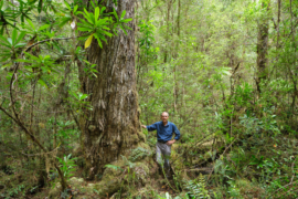 Wellbeing & Eatwell Cover Image 1001x667 (7)