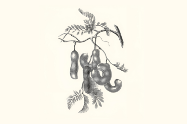 Wellbeing & Eatwell Cover Image 1001x667 2025 02 26t120202.570